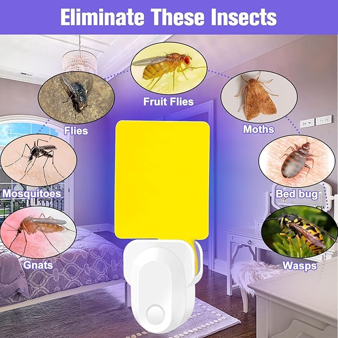 Electronic Flying Insect Trap Plug in, Fruit Flying Traps for Indoor and Office, Flea, Mosquito, Fly, Gnat, Moth, and Bug Killer Catcher, Mosquito Trap with Night Light 1 Pack 5 Sticky Boards