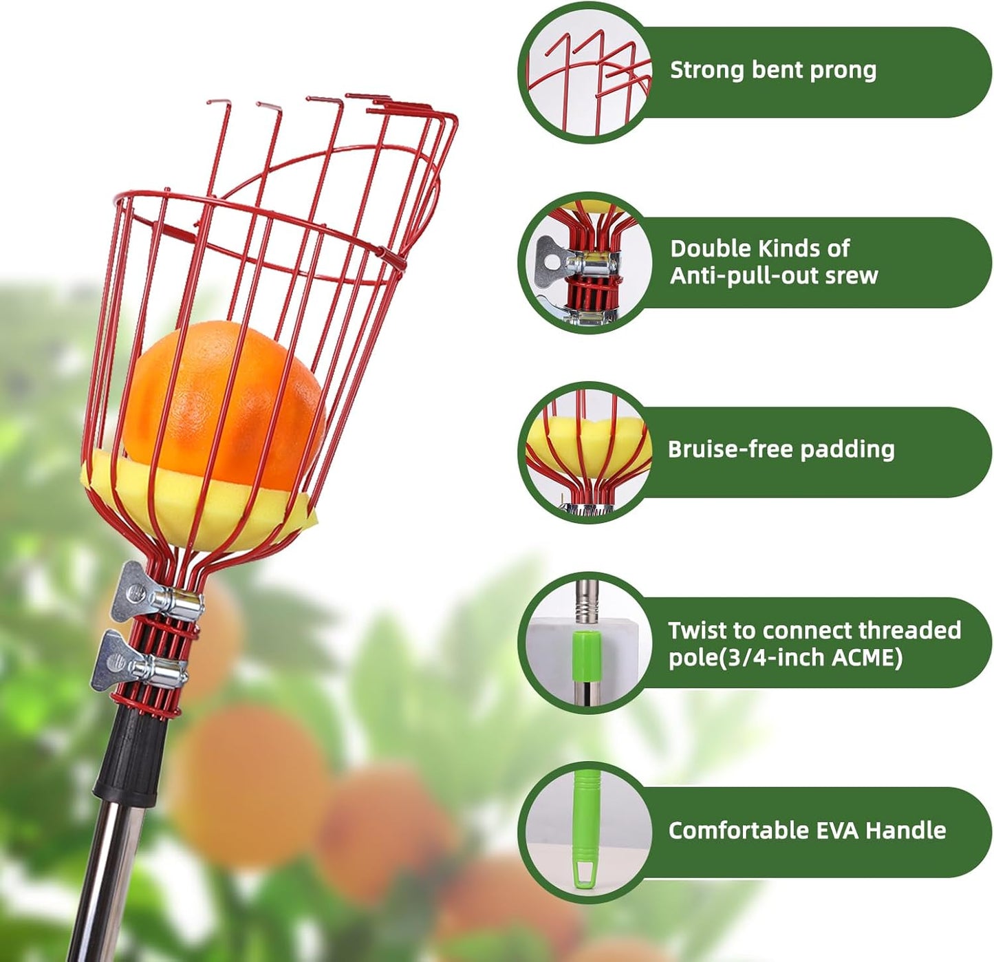 8FT Fruit Picker with Large Basket Telescoping Fruit Picker Pole Foam Padding Prevents Bruising Suitable for Apples Mangoes Pears Oranges Avocados, Red (Pole Included)