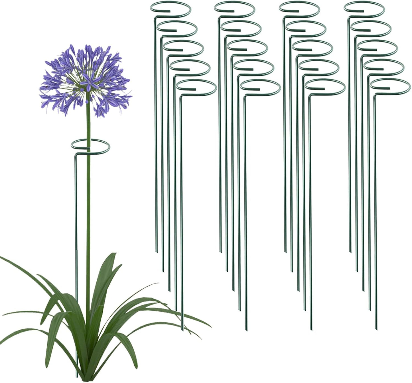 20 Pack 16 Inch Plant Support Stakes, Metal Single stemmed Flower Support Hoops，Garden Plant Stakes Plant Prop for Amaryllis Orchid Lily Rose Peony Tomatoes Gladiolus