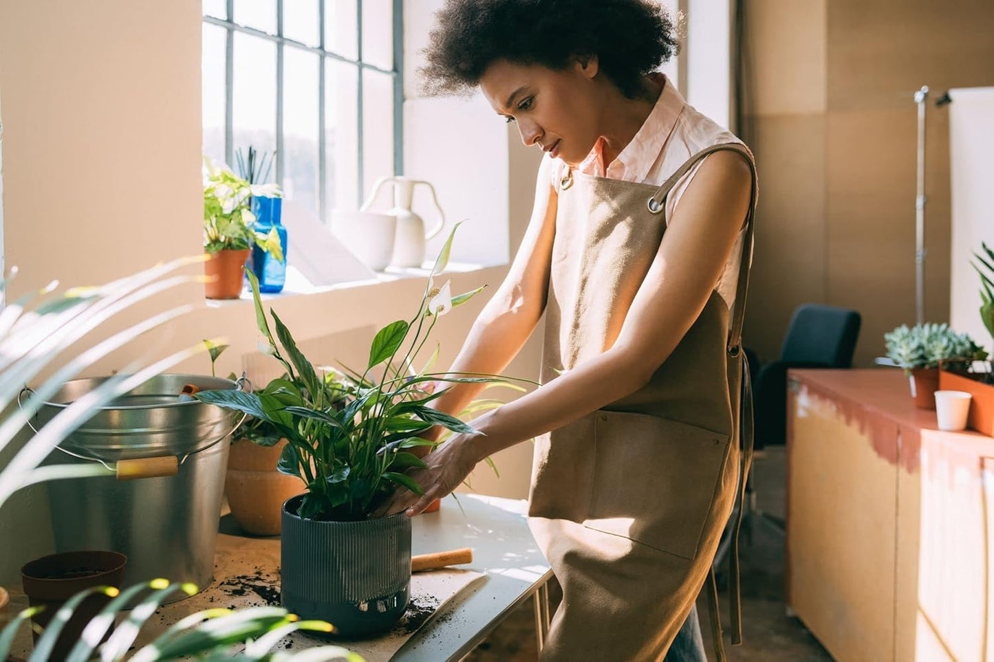 Gardenera's Premium Peace Lily Potting Mix : Hand-Crafted for Optimal Growth and Health - [3-Quart Bag]