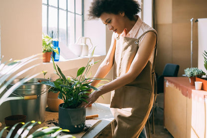 Gardenera's Peace Lily Soil Mix for Thriving Indoor Plants: Hand-Crafted for Optimal Growth [4-Quart Bag]