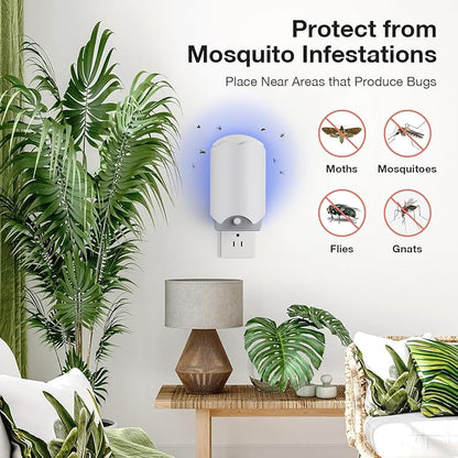 4 Refill Glue Cards for Indoor Flying Insect Trap – Sticky Pads for Capturing Fruit Flies, Gnats, Houseflies, and Moths