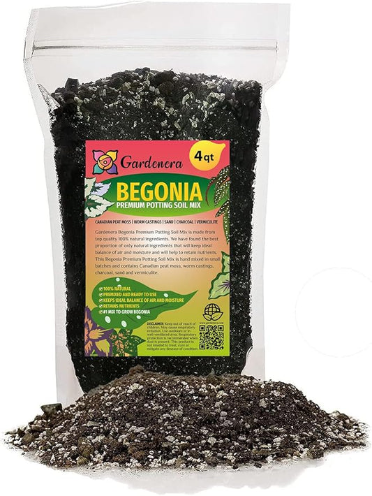 Premium Begonia Plant Potting Mix - Elevate Your Space with Enchanting Flower Displays and Distinctive Beauty - 4 Quart
