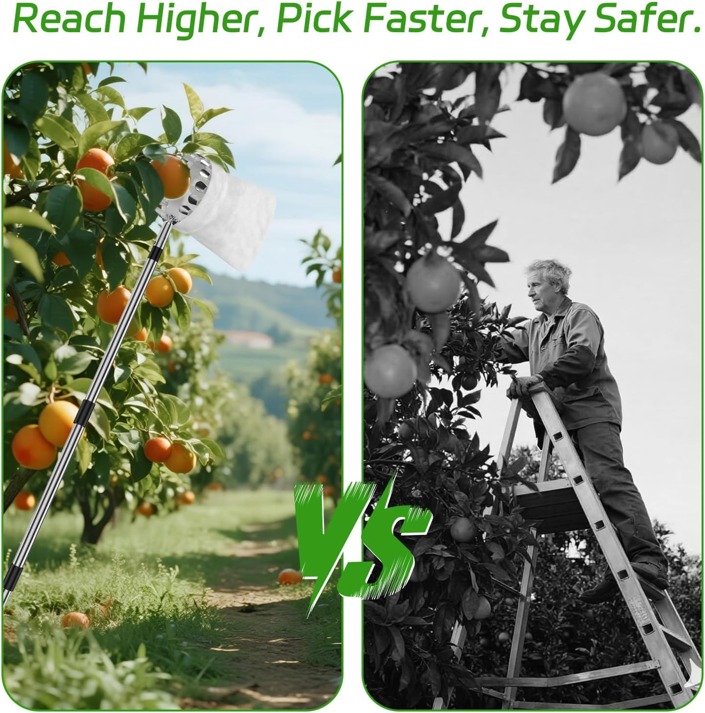 13.8 FT Fruit Picker Tool with Stainless Steel Pole & Soft Basket – Adjustable Tree Fruit Harvester for Apple, Mango, Avocado, Orange, Pear, Lemon & More – Lightweight & Rust-Resistant