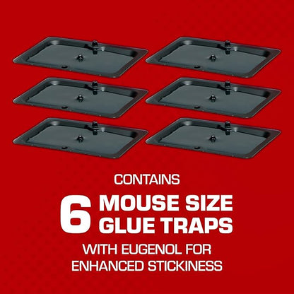 Tomcat Glue Traps Mouse Size with Eugenol for Enhanced Stickiness for Mice, Cockroaches, and Spiders, 6 Traps