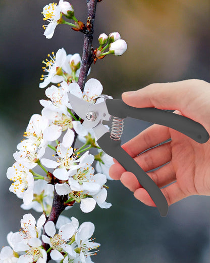 Pruning Shears for Gardening, 2 Pack Garden Scissors for Cutting Fresh Flowers, Floral Clippers for Plants, Fruits (Black)