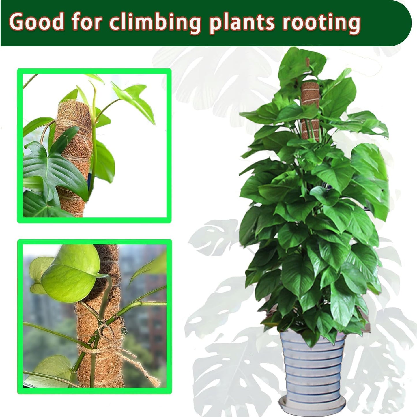 Moss Pole - 2 Pack: 17 Inch Coir Plant Support - Stackable - For Climbing Plants