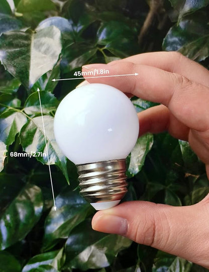 Warm Light Bulbs, Full Spectrum Light Bulb 2700K LED Lightbulbs G45 Soft White Grow Small E26 Refrigerator 5W Eq 40W Appliance for Home, Plant, Freezer, Lamp (1 Warm White Bulb)