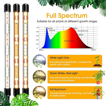 Wolezek Grow Lights for Indoor Plants, 2 Pack Full Spectrum Plant Light with Adjustable Stand, 5-Head LED Grow Light with Auto 6/12/16H Timer, 5 Brightness Levels, Ideal for Large & Tall Plants