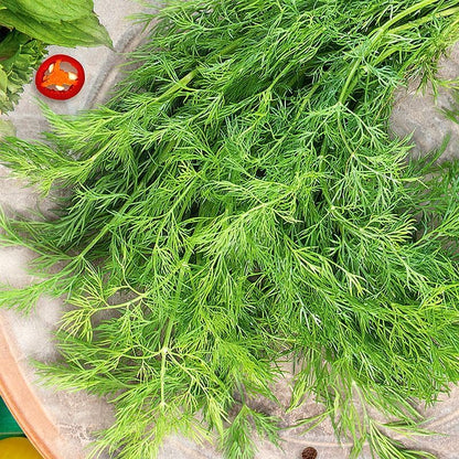 Seeds Dill Mamonth - Heirloom Vegetable - GMO Free