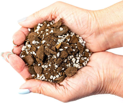 Gardenera Soil Mixture for Indoor Herb Planters - 10 Quart - Specially Blended Soil Mixture for Planting and Growing Indoor Kitchen Herbs Indoors (2 Bags of 5 Quart)