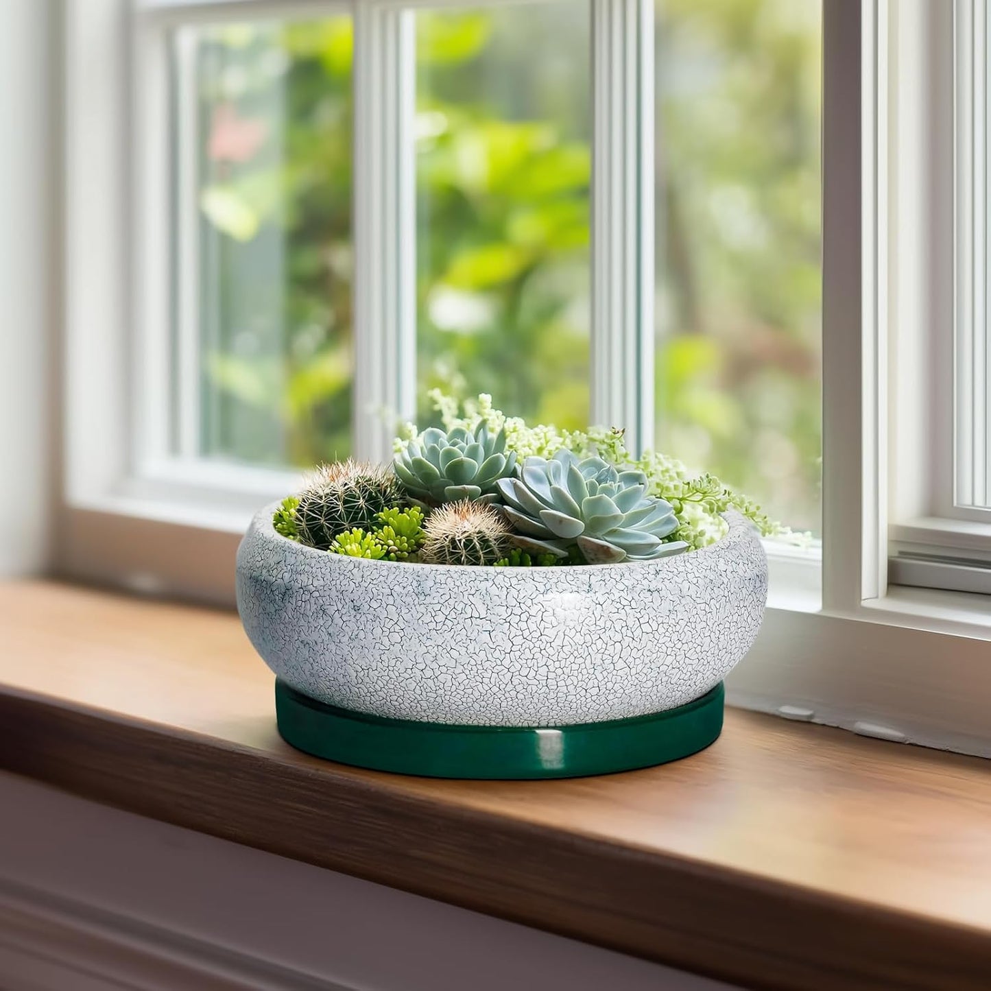 Bonsai Tree Pots - 8 Inch Ceramic Succulent Pot with Drainage Hole and Tray, Bonsai Pots, Shallow Planters for Indoor Outdoor, Round Planter Bowl, House Decor, Gifts for Plant Lovers, Green
