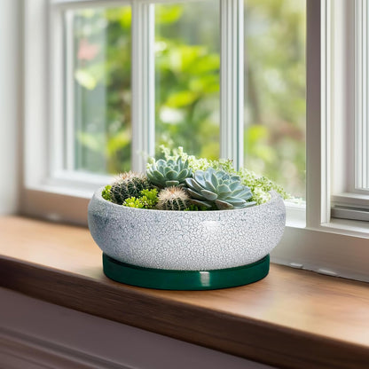 Bonsai Tree Pots - 8 Inch Ceramic Succulent Pot with Drainage Hole and Tray, Bonsai Pots, Shallow Planters for Indoor Outdoor, Round Planter Bowl, House Decor, Gifts for Plant Lovers, Green