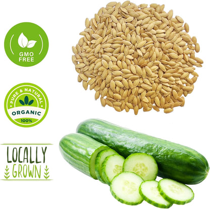 250+ Organic Marketmore Cucumber Seeds – Premium Heirloom Seeds – Perfect for Gardens, Raised Beds & Containers – Crisp, Delicious & Non-GMO – USA Grown (Cucumis sativus)