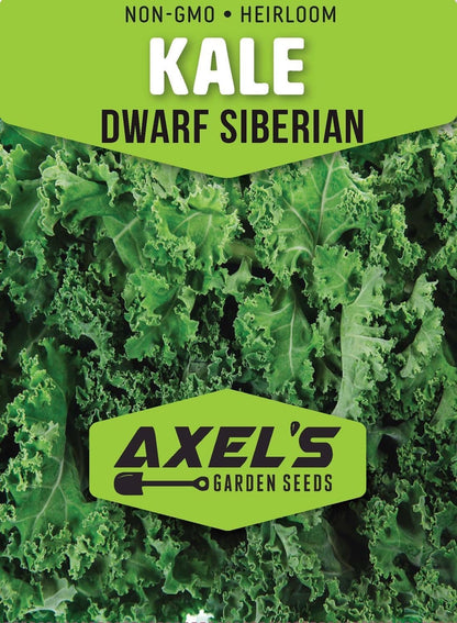 Dwarf Siberian Kale Seeds for Planting – Plant & Grow Heirloom Non-GMO Dwarf Siberian Kale in Home Outdoor Vegetable Garden, Brassica Napus – 3 Packets