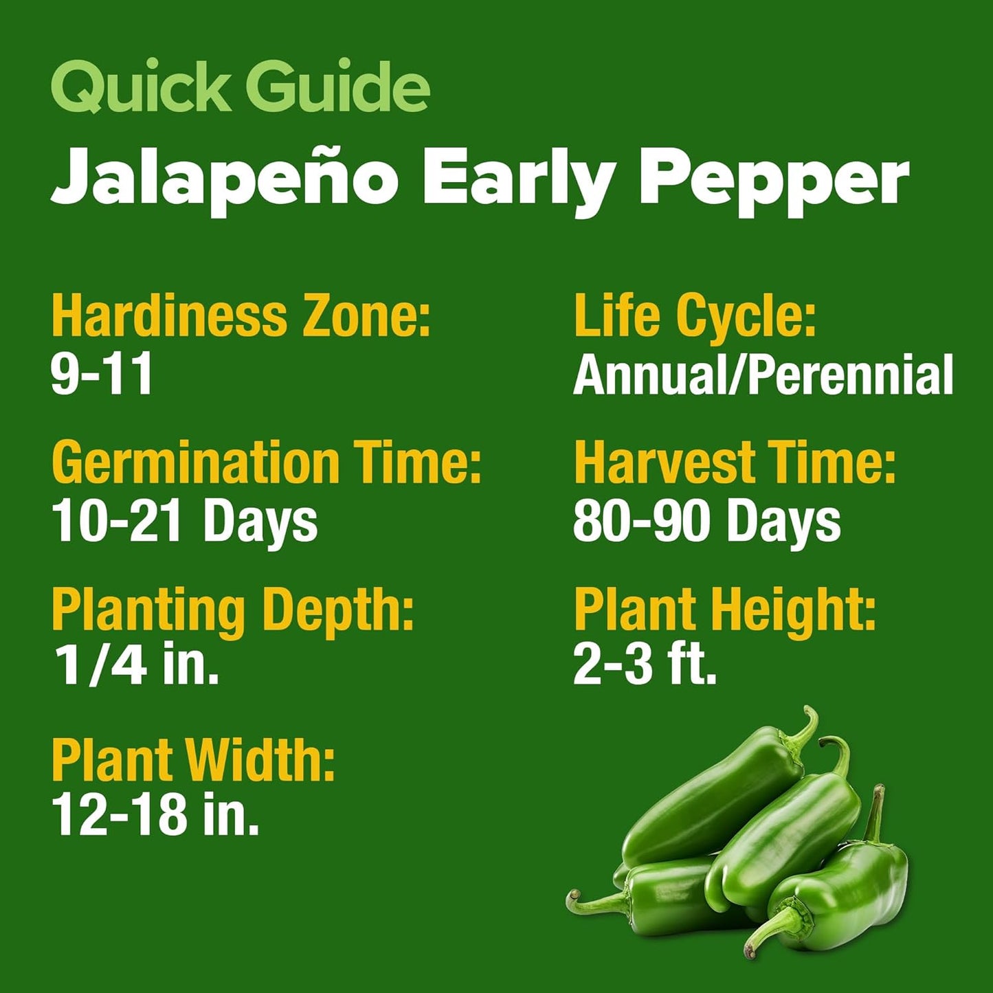 HOME GROWN 𝗨𝗦𝗔 𝗣𝗥𝗘𝗠𝗜𝗨𝗠 Jalapeno Pepper Seeds – 129 𝗡𝗢𝗡-𝗚?𝗢 Heirloom Seeds (Capsicum annuum) – High Germination, Easy to Grow, Early Harvest Hot Peppers