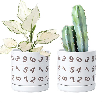 D'vine Dev Set of 2 Ceramic Planter Pots with Drainage Hole and Saucer, 6 Inch Plant Pots for Plants Indoor Houseplants, White, 99-Z-B-1-Y