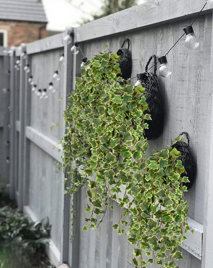 Hollyone Artificial Hanging Plants 35.4" Fake Ivy Vine Faux Ivy Leaves Fire and UV Resistant Hanging Plant Wall Greenery for House Room Patio Indoor Outdoor Home Shelf Office Wedding Decor