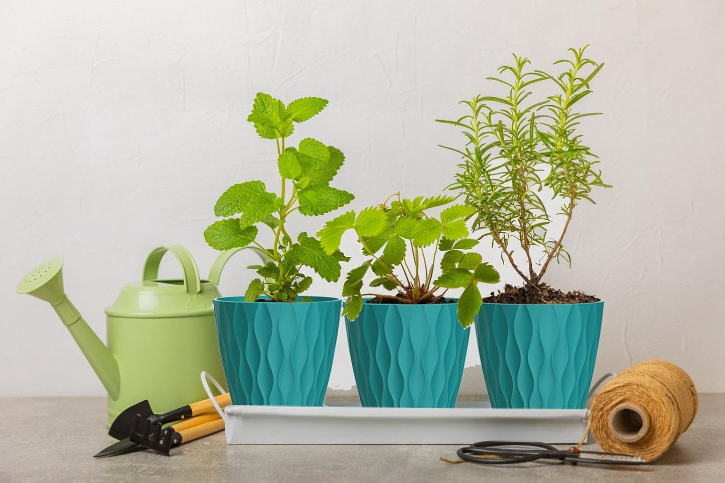 6 Inch Plant Pots, 6 Pack Indoor Flower Pots, Planters with Drainage Holes and Trays for Orchids, Violets, Succulents, Herbs, and Other Plants,Blue-Green