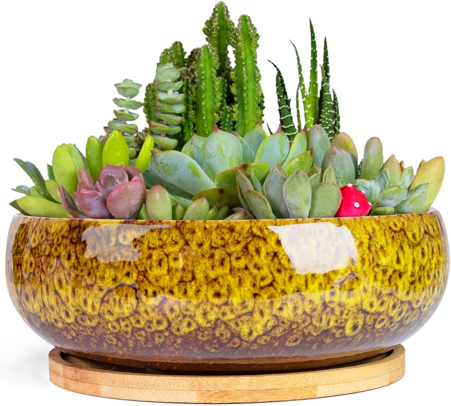 ARTKETTY Succulent Pots - 7.5 Inch Large Plant Pot with Bamboo Tray, Shallow Bonsai Pots with Drainage, Ceramic Planter for Indoor Plants, Cactus, Home Office Desk Decor