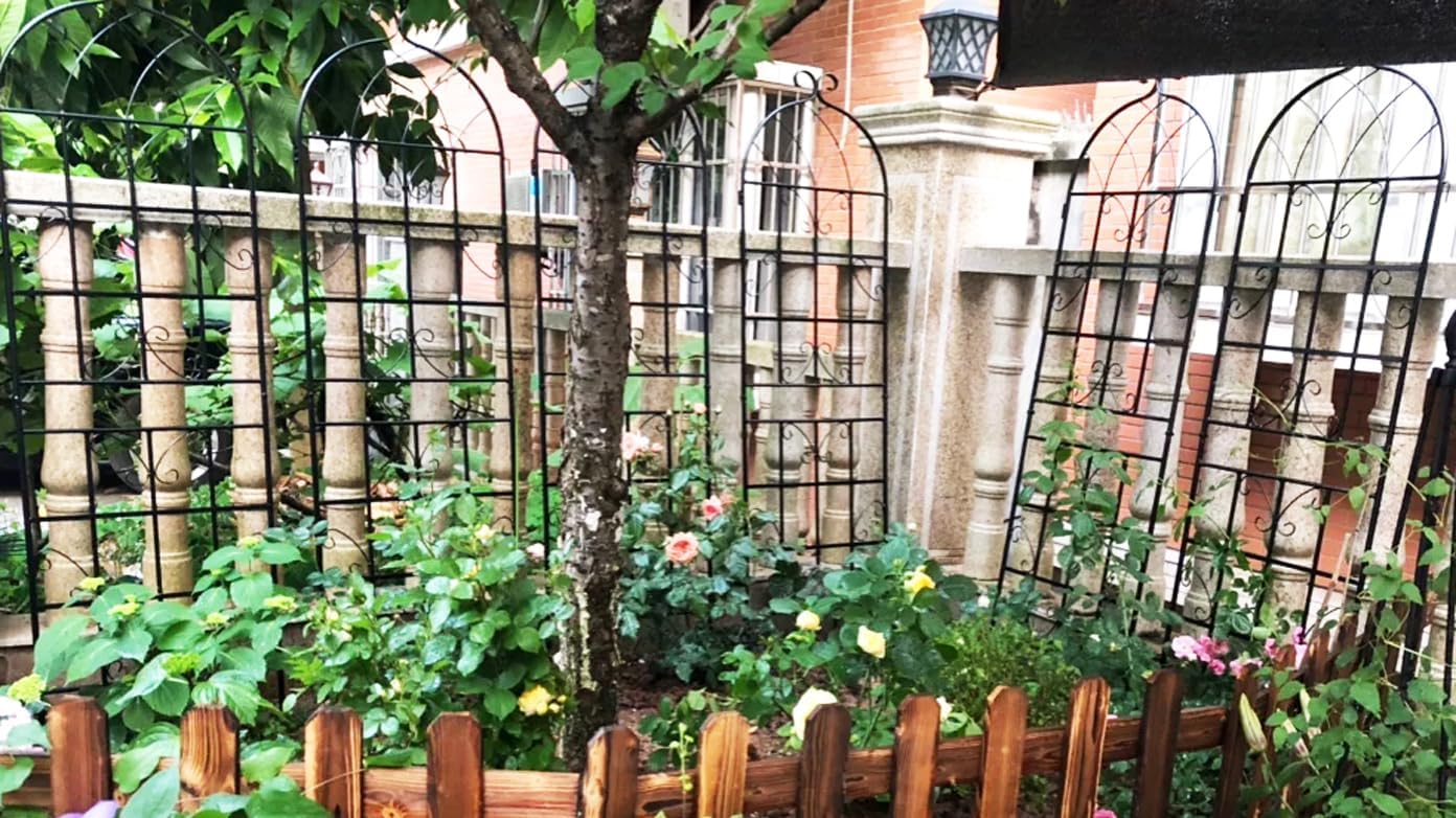 Metal Garden Trellis Garden Fence Rustproof Trellis for Climbing Plants Support Roses Flower Outdoor Lawn (6, Pattern-D)