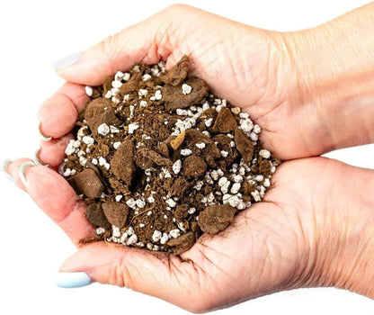 GARDENERA Palm Tree Potting Mix - The Ultimate Soil for Strong and Healthy Palms - Top Choice for Palm Tree Growers [10 Quart Bag]