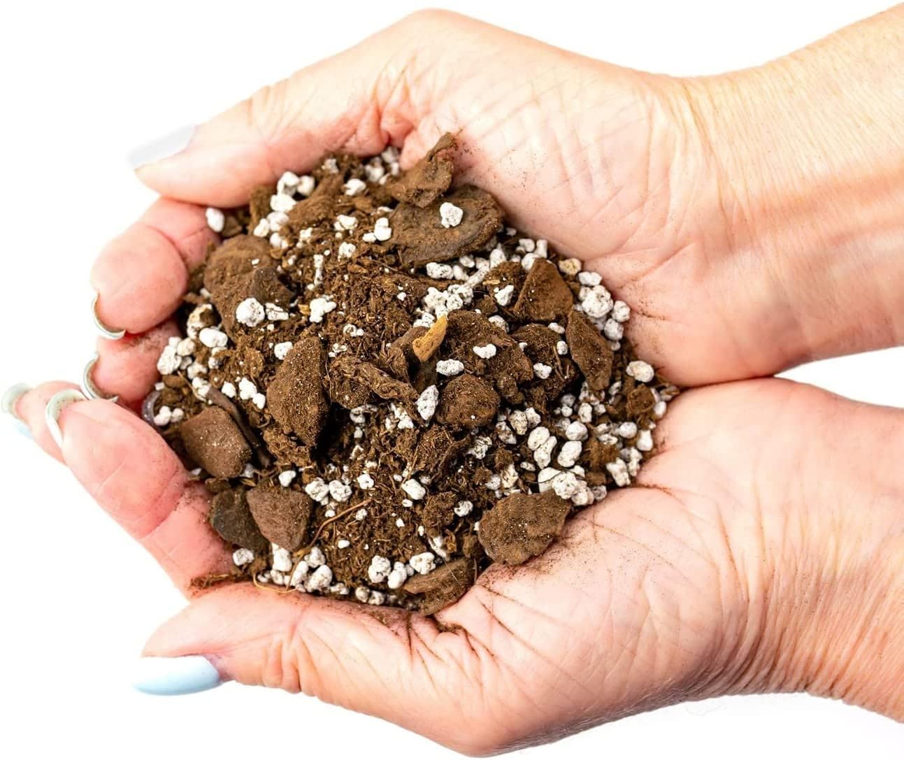 GARDENERA Palm Tree Potting Mix - The Ultimate Soil for Strong and Healthy Palms - Top Choice for Palm Tree Growers [1 Quart Bag]