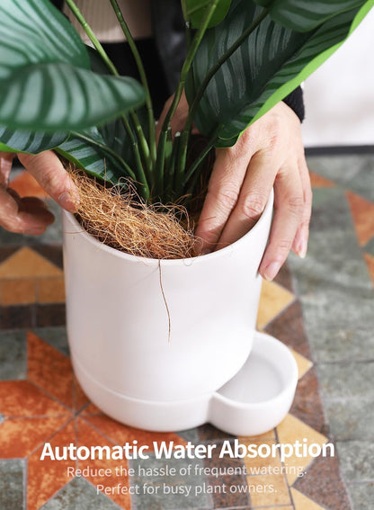 5.5 Inch Ceramic Self Watering Planters with Absorbent Cotton Rope, Cylinder Round Flower Pot for Succulent, Herbs, African Violets, White, 1 Pack