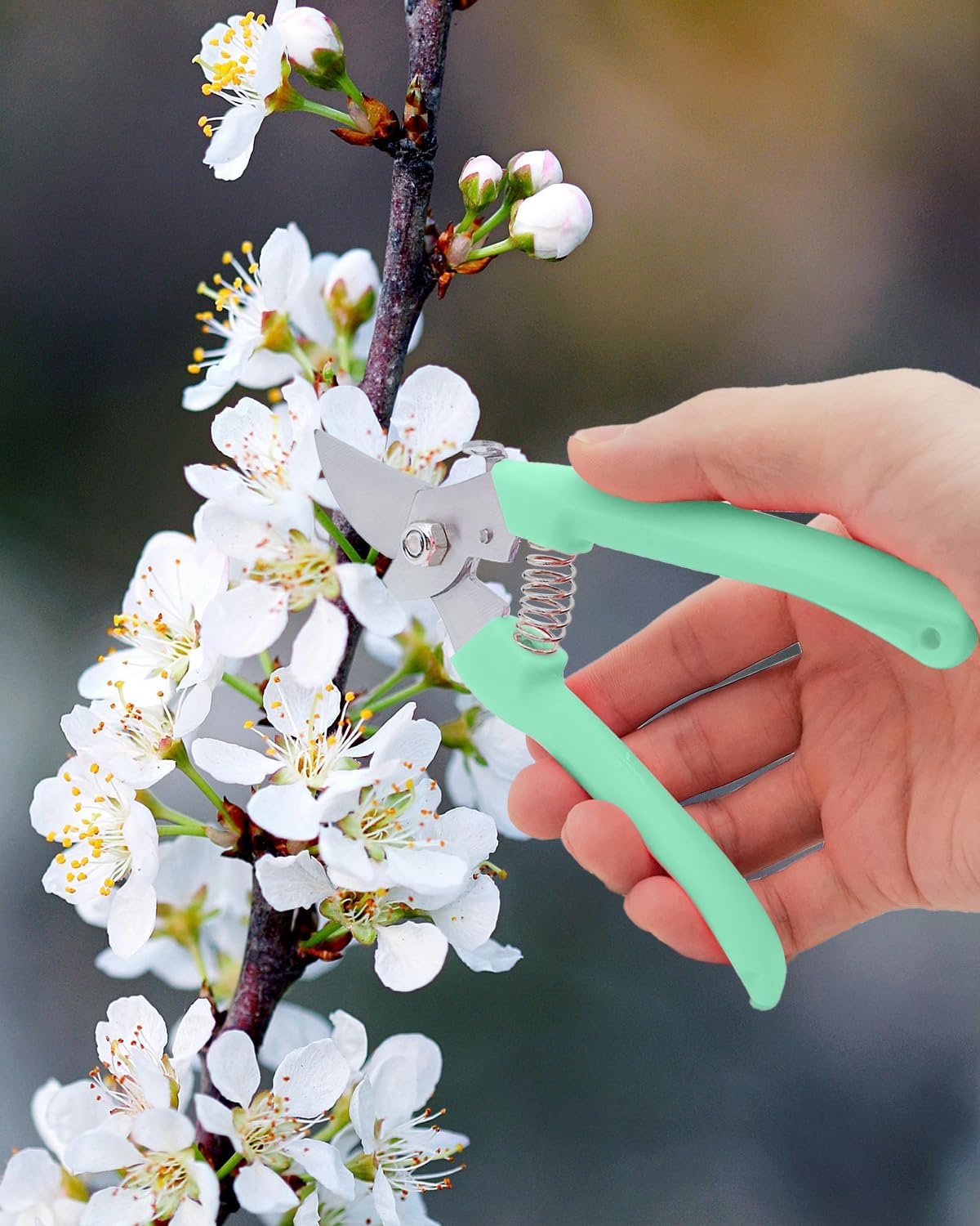 Pruning Shears for Gardening, 1 Pack Garden Scissors for Cutting Fresh Flowers, Floral Clippers for Plants, Fruits (Green)