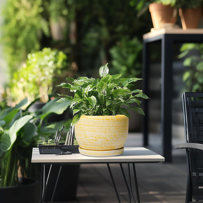 SQOWL Ceramic Flower Pots - 8 inch Plant Pot Indoor with Drainage Hole and Saucer, Modern Ceramic Planter Outdoor, Round Decorative Planter, Living Room Home Decor, Gifts for Plant Lovers, Yellow