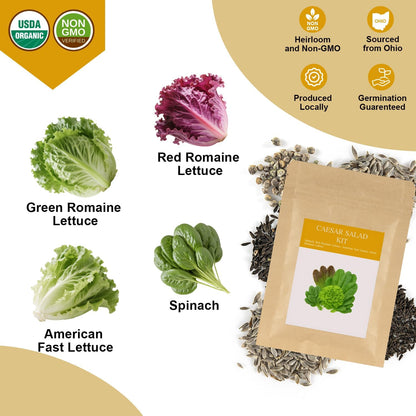 Caesar Salad Seed Pod Kit for AeroGarden, idoo, Ahopegarden, MUFGA with Green Romaine Lettuce, Red Romaine Lettuce, Spinach, and American Fast Lettuce - Compatible with All Garden(7-Pod)