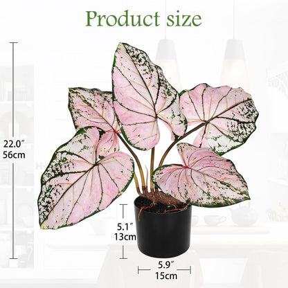 Briful 22'' Tall Fake Plants Artificial Caladium Plants in Black Pot Realistic Potted Faux Plant Indoor for Home Decor Wedding Farmhouse Centerpiece, Wide Pink-Black Leaf