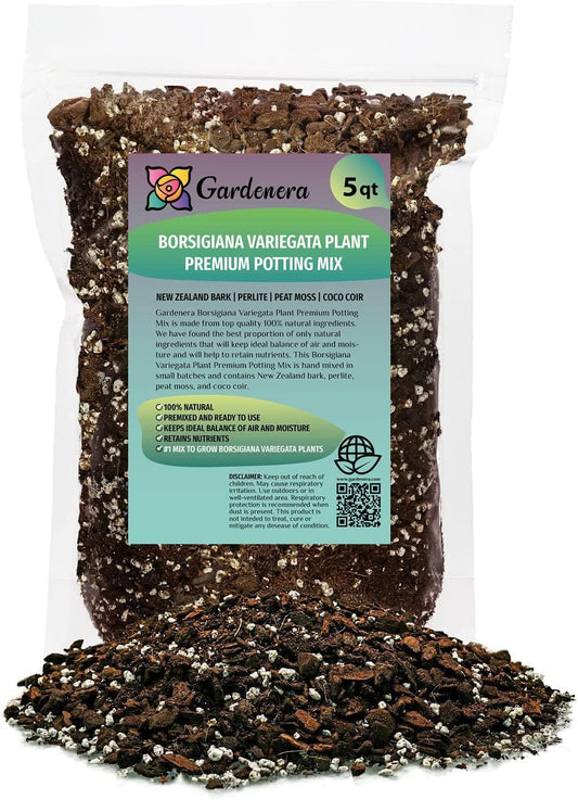 Premium Monstera Borsigiana Potting Mix - Retains Moisture and Promotes Root Growth by Gardenera