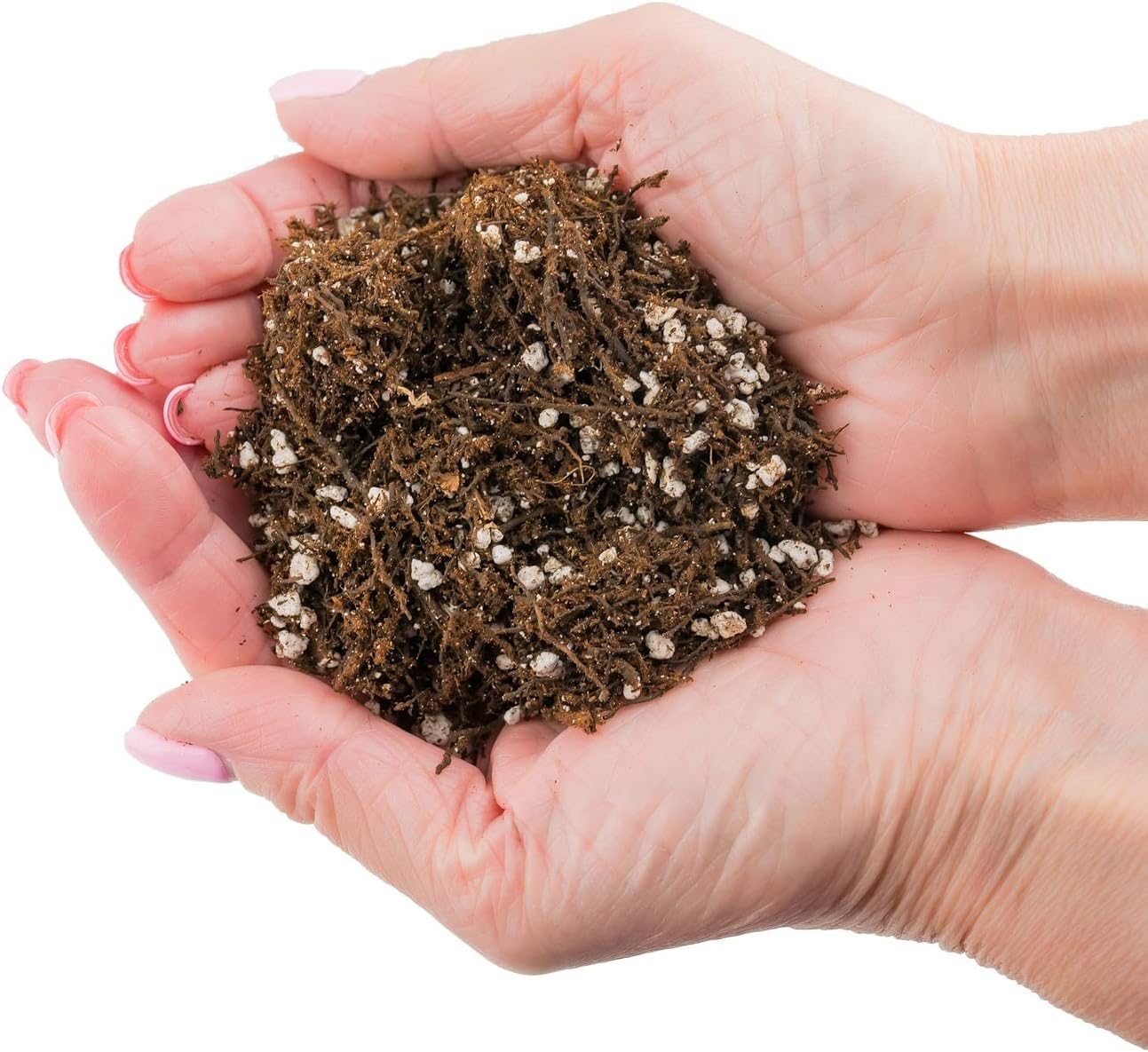 Gardenera Fern + Perlite Soil Mix for Repotting and Planting Succulents and Cactuses - 2 Quart Bag