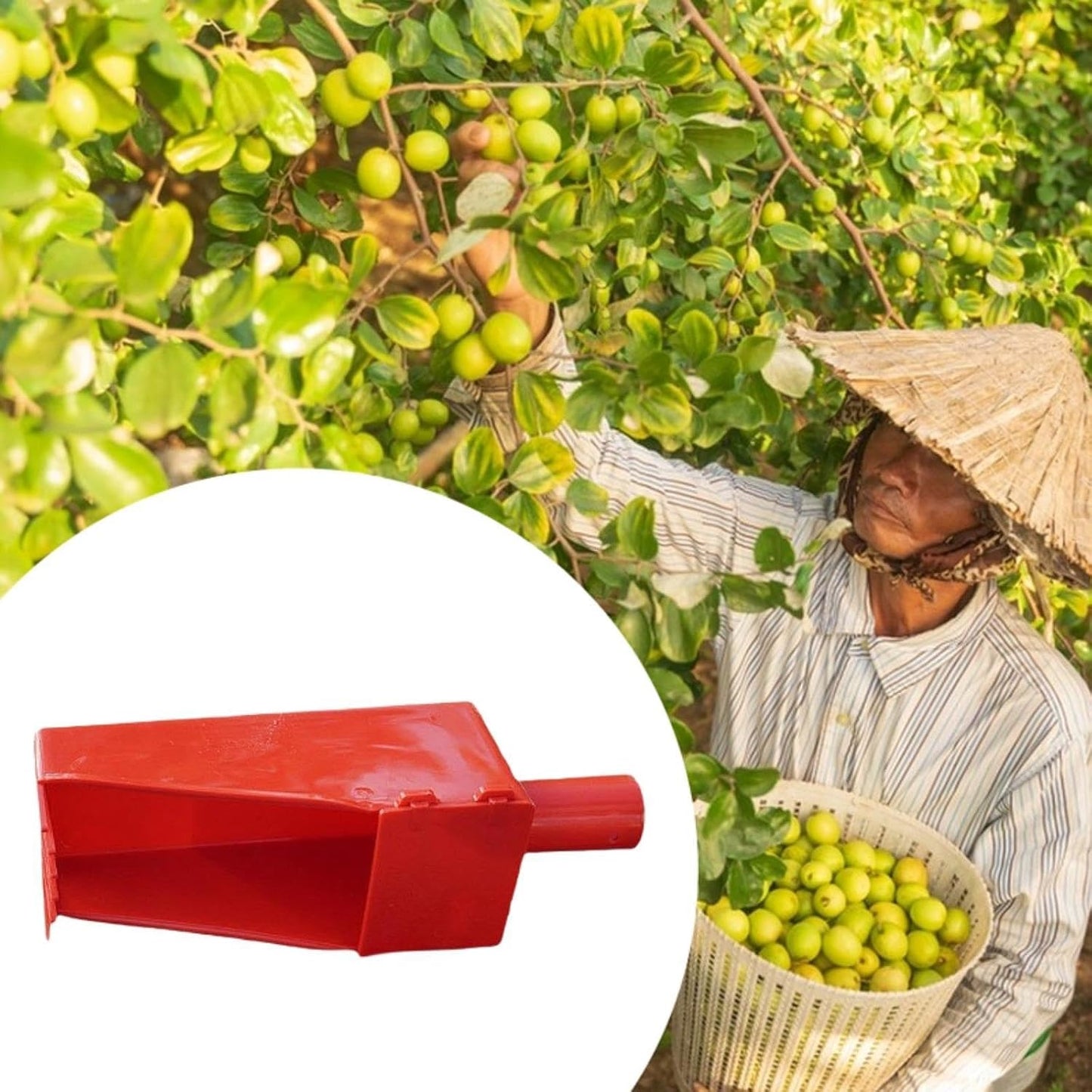 Fruit Picker Gardening Jujube Picking Tool Easy to Use Practical Versatile Manual Jujube Picker Tree Pickers for Backyard