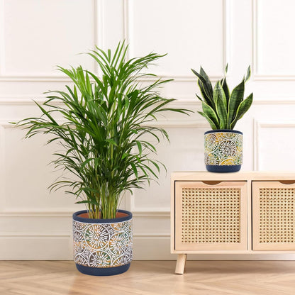 DeeCoo 3 Piece Ceramic Plant pots Indoor Pots Set with Drainage Holes, 5.7/4.7/3.5/inch, Modern