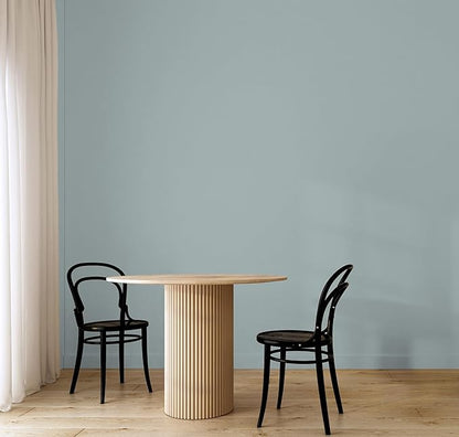 EVOLVE Paint & Primer: Environment-friendly, Low Sheen with One-coat Coverage for Interior & Exterior surfaces (Pebble Gray, 1-Gallon)