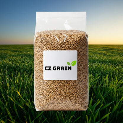 Nature’s Feast Rye Seeds – 1 lb Non-GMO Forage & Cover Crop for Healthy Soil and Wildlife - Open-Pollinated, Healthy, Non-GMO