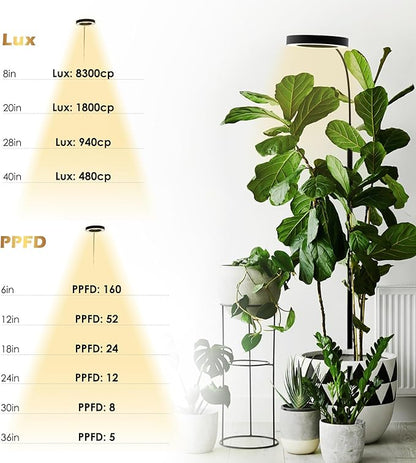 GLOWRIUM Grow Lights for Indoor Plants, 20W Full Spectrum LED Grow Light Floor Lamp with Stand Adjustable Height and Angle, Black Plant Light with 3/9/12H Grow Light Timer