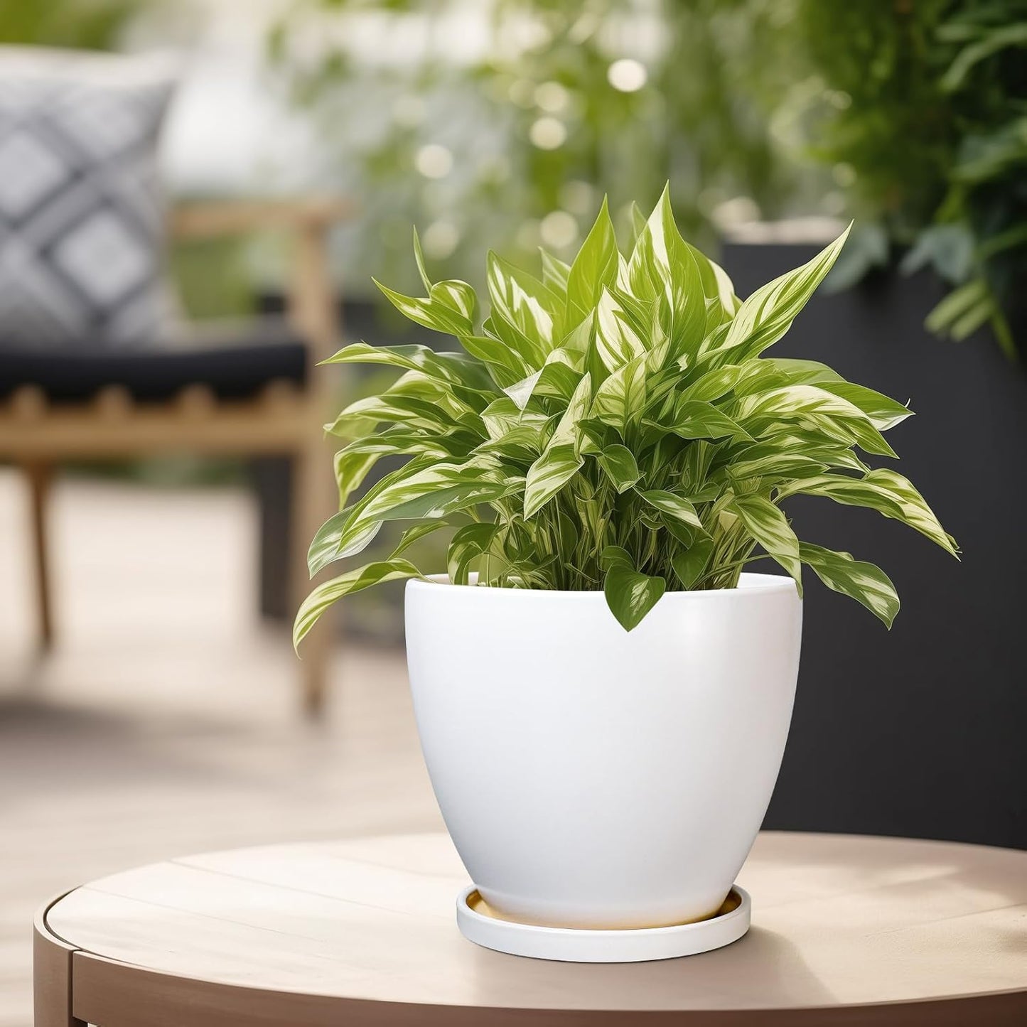 Ceramic Pots for Plants - 6.8 Inch Plant Pot with Drainage Hole and Saucer, Succulent Round Flower Planters for Indoor, Home Decor, White