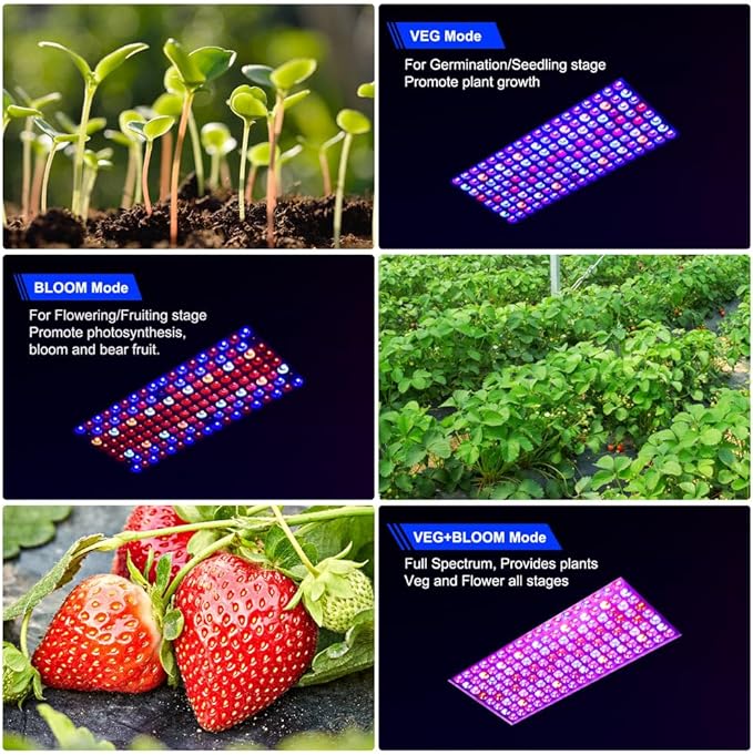 Upgraded BW1000 LED Grow Lights Double Chips Full Spectrum with 10ft Cable for Greenhouse and Indoor Plant Veg and Flower Growing [Black]