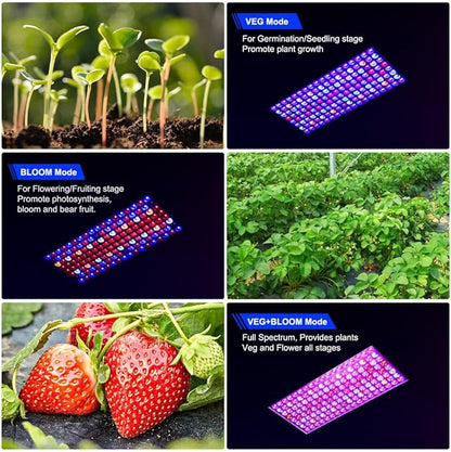 2024 Upgraded BW2000 LED Grow Lights Double Chips Full Spectrum with 10ft Cable for Greenhouse and Indoor Plant Veg and Flower Growing [White]