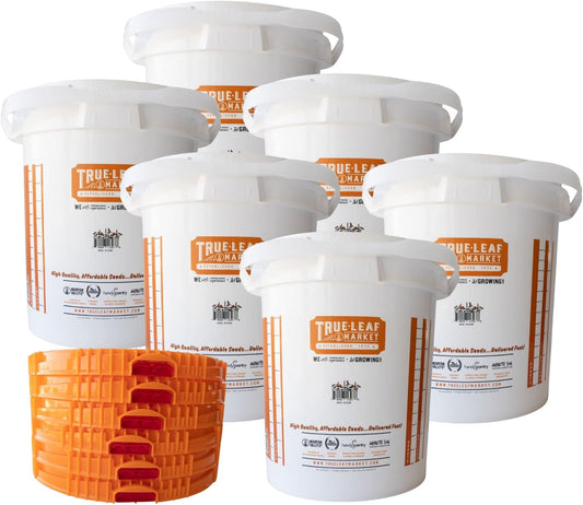 5 Gallon Bucket with Easy On/Off Ratcheting Lid - 6 Buckets - HDPE, Food Grade, BPA Free