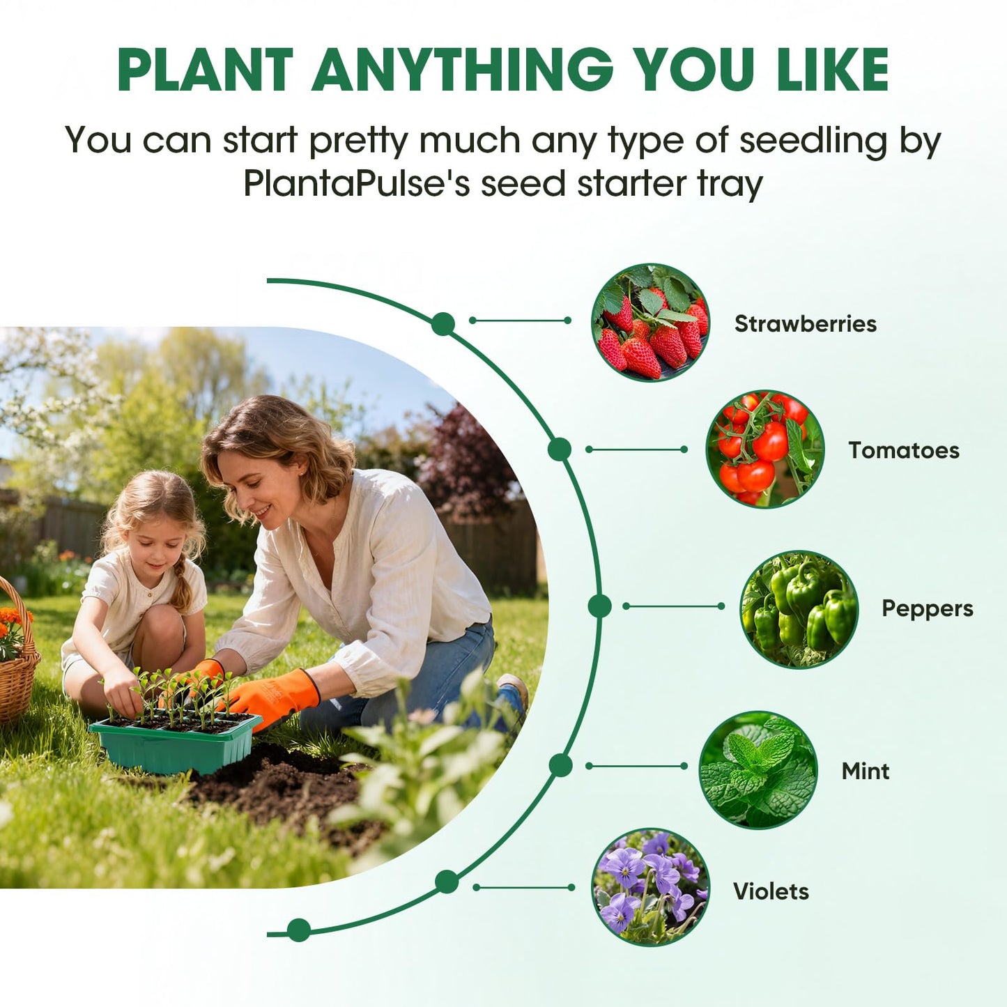 PlantaPulse 5 Packs Seed Starter Tray with Humidity Dome, Seed Starter Kit with Transparent Drain
