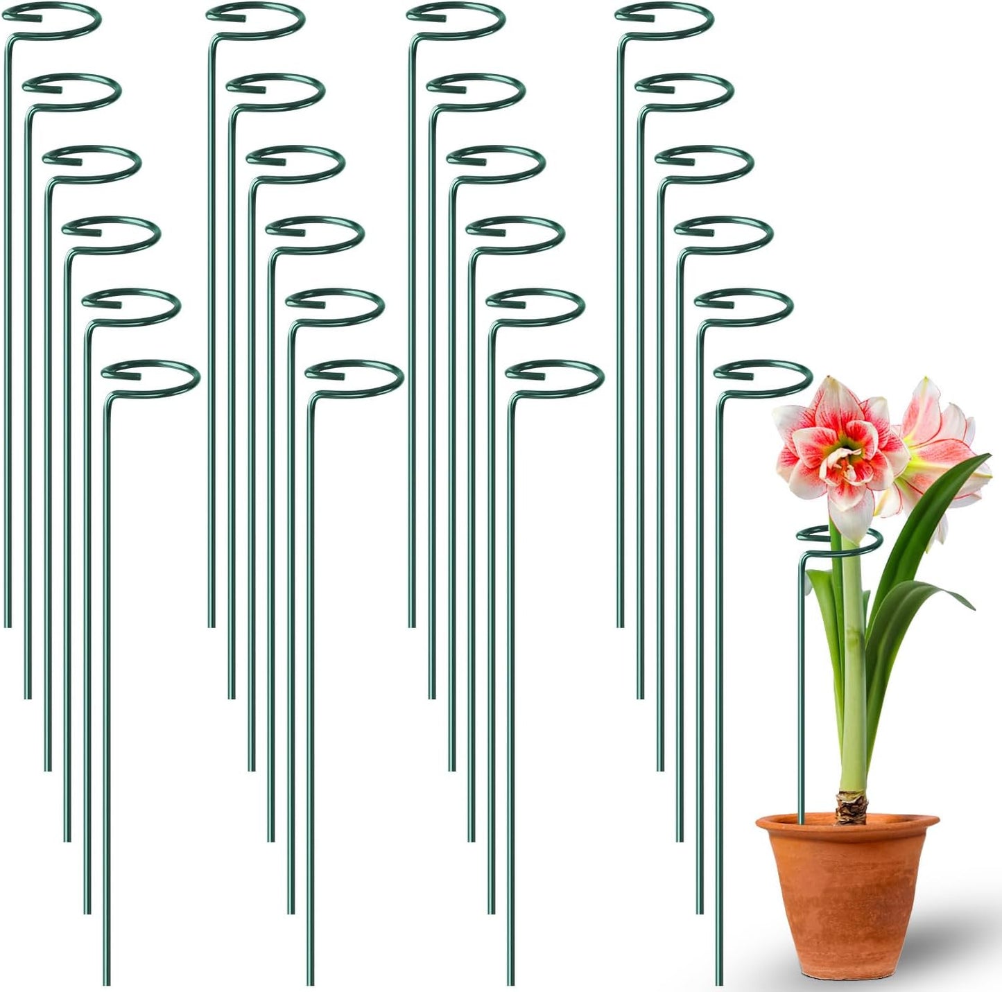 24 Pack Plant Support Stakes, 16 Inch Metal Garden Plant Stakes Single Stem Support Rings for Indoor Outdoor Amaryllis, Flowers Orchid, Lily, Peony, Rose, Tomato, Monstera, Narcissus