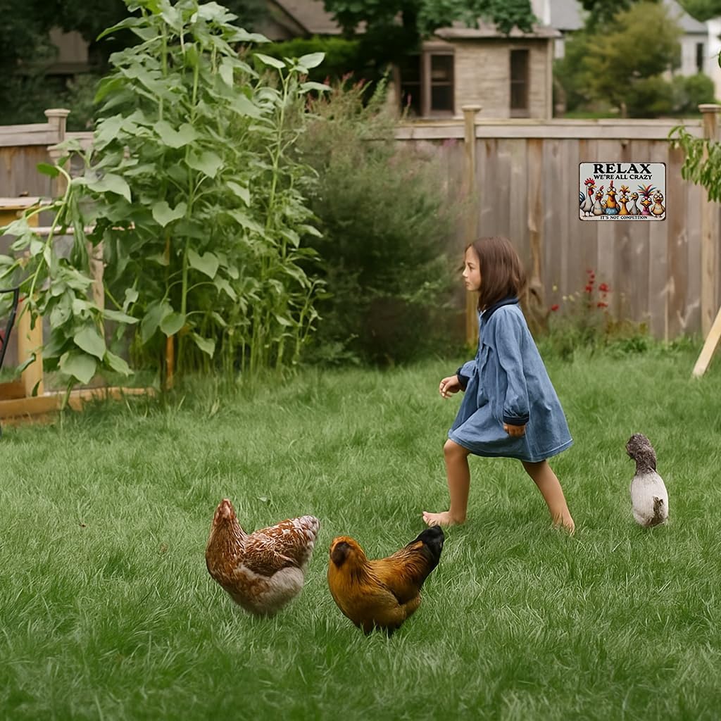 Funny Chicken Gifts Relax We‘re All Crazy It's Not Competition Tin Sign for Home Farm Chicken Coop Farmhouse Kicthen Garden Decor 8 X 12 Inch (3621)