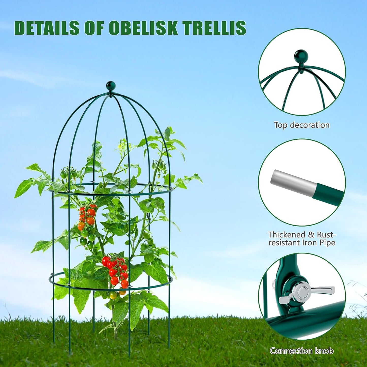3 Pack Metal Plant Cage Support, 31.5" H Peony Support Tomato Cage Garden Rose Obelisk Trellis Supports Tower for Clematis Vine Jasmine Supports Outdoor Indoor