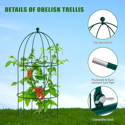 3 Pack Metal Plant Cage Support, 31.5" H Peony Support Tomato Cage Garden Rose Obelisk Trellis Supports Tower for Clematis Vine Jasmine Supports Outdoor Indoor