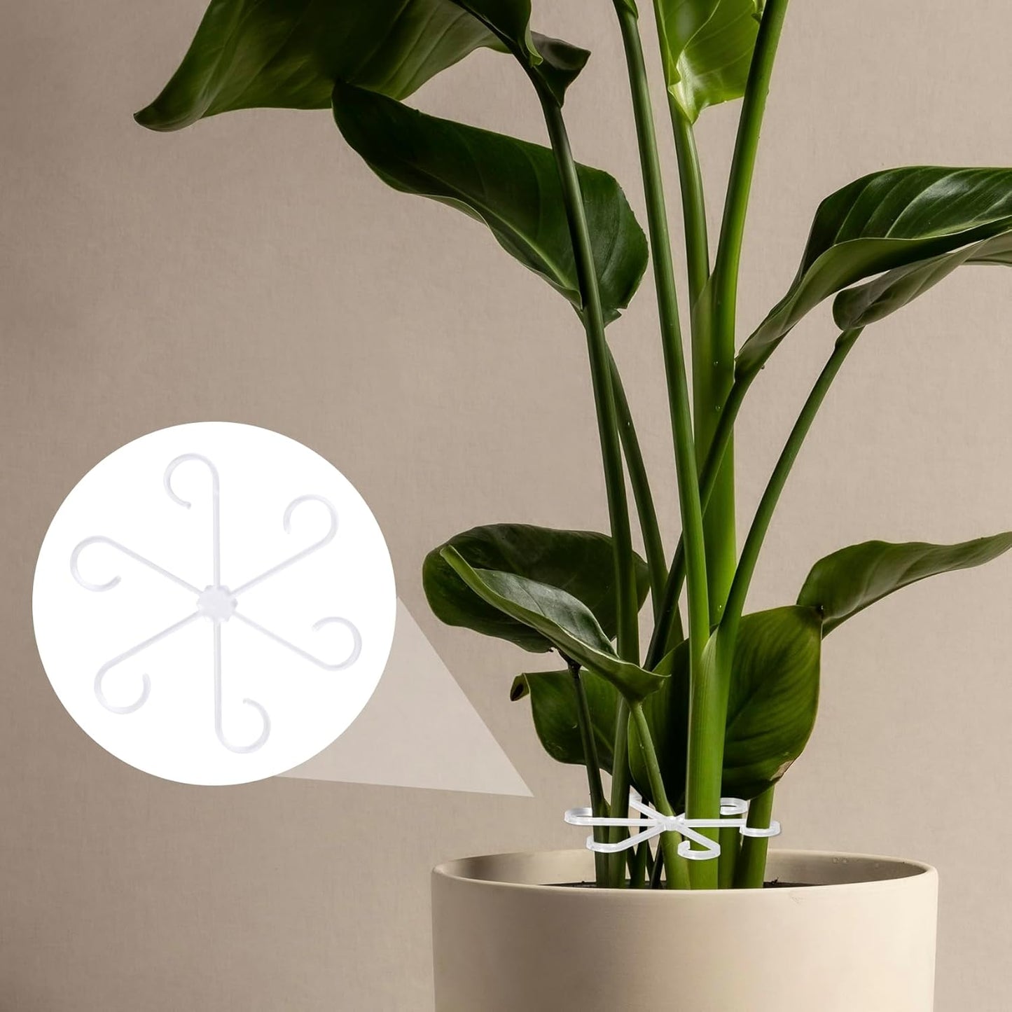8PCS Plant Stem Support, 4 Sizes Climbing Houseplant Stem Holders, Plastic Reusable Flower Trellis Stem Hook Plant Care Growth Accessories for Flower Plants Indoor Outdoor - Clear