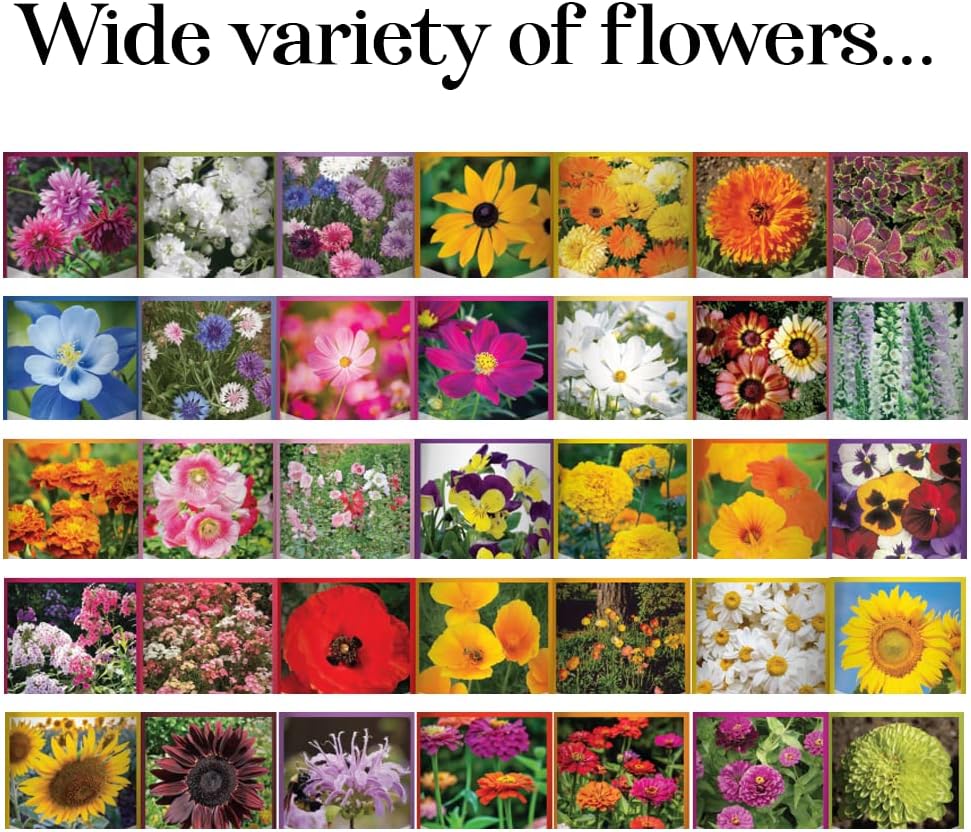 Gardeners Basics, Flower Seeds Packets for Planting 35 Individual Varieties Perennial, Annual, Wildflower Seeds for Planting Outdoors for Bees and Butterflies - Semillas de Flores Hermosas